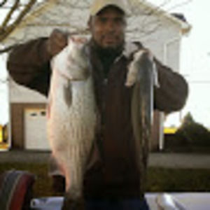 Meet your Posher, Tay